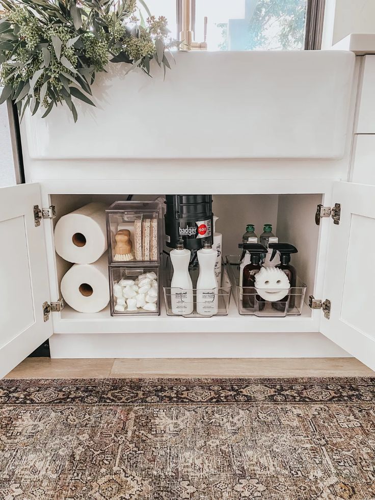 Under-the-Sink Storage Ideas