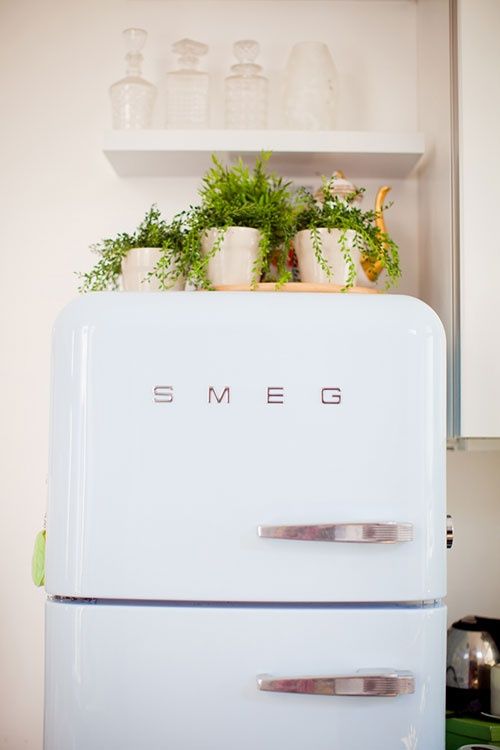 Top Of The Fridge Decor Ideas