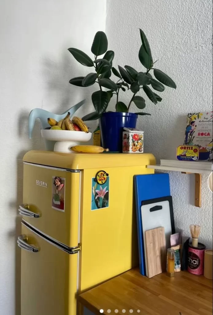 Top Of The Fridge Decor Ideas